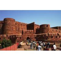 Taj Mahal and Agra Fort Day Trip from Delhi
