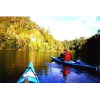 Tauranga Shore Excursion: Wairoa River Kayak Tour