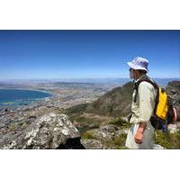 Table Mountain Hike in Cape Town