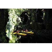 tauranga shore excursion scenic lake mclaren kayak tour