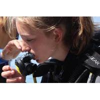 Taormina Children\'s Diving Experience: Bubble Maker Diving Course at Isola Bella