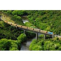 Taieri Gorge Railway and the Otago Peninsula Day Trip from Dunedin