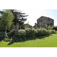 Tasting Muscamento - Fischetti W...