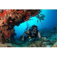 Taj Mahal Cenote Cave Diving Adventure from Cancun