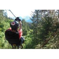 Talkeetna Zipline Adventure from Anchorage