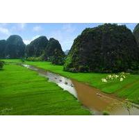 Tam Coc and Hoa Lu Private Day Tour