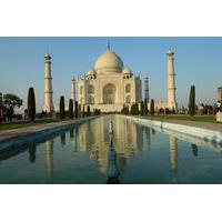 taj mahal and agra fort guided day tour from new delhi