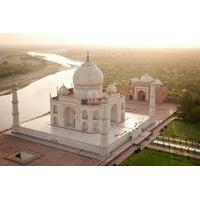 Taj Tigers and Majestic Forts Multi-Day Tour from Delhi