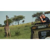 Tanzania Safari Experience