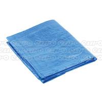 tarp1012 tarpaulin 10ft x 12ft blue