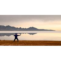 Tai Chi with Faisal - Fridays, Beginners & Intermediates