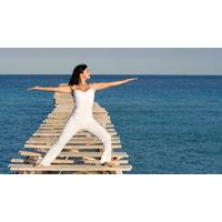 Tai Chi Diploma Course