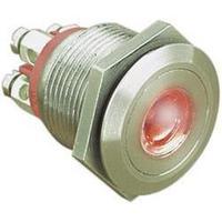 Tamper-proof pushbutton 24 Vdc 0.05 A 1 x Off/(On) Bulgin MPI001/TERM/RD IP66 momentary 1 pc(s)