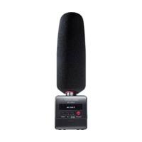 Tascam DR-10 SG