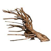 Talawa Wood Root - 1 piece, 40-60 cm