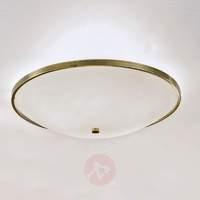 Tayla Ceiling Light Fine 56.5 cm