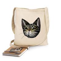 tabby cat face shoulder