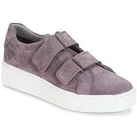 Tamaris - women\'s Shoes (Trainers) in purple