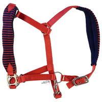 Tagg Padded Headcollar