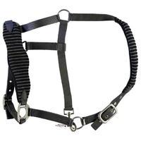 Tagg Padded Headcollar