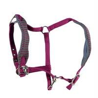 Tagg Padded Headcollar