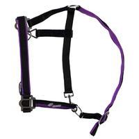 Tagg Loveson Headcollar