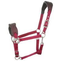 tagg padded headcollar