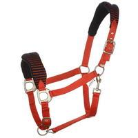 tagg padded headcollar