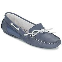 TBS BETTSY women\'s Loafers / Casual Shoes in blue