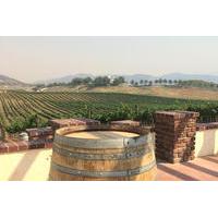 Temecula Wine Country Tour from San Diego