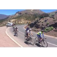 Teide West Cycling Tour in Tenerife
