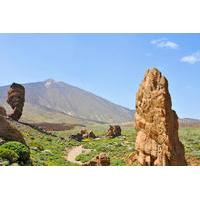 Tenerife Shore Excursion: Private Teide National Park Day Trip