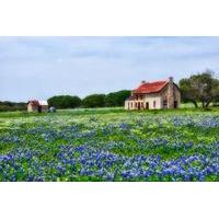Texas Hill Country and LBJ Tour From San Antonio