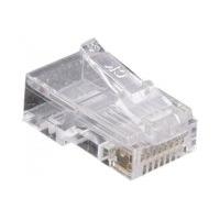 Telephone Plug RJ45 UTP 8P8C X 10- UTP