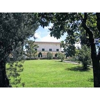 Tenuta di Pietra Porzia