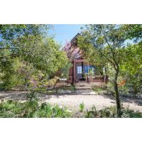 Teva Ba\'Har - The Scandinavian ...