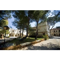 Tenute Al Bano Carrisi