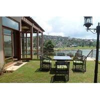 Tea Plant Nuwara Eliya