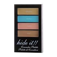 technic hide it concealer palette