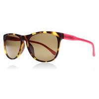 ted baker marin sunglasses tortoise pink 169