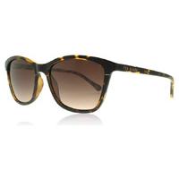 ted baker tari sunglasses tortoiseshell 122 55mm