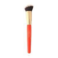 technic pro face brush