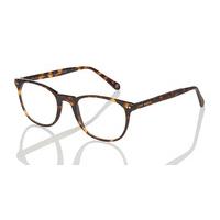 Ted Baker Eyeglasses TB8120 Denny 155