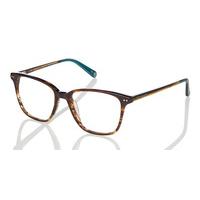 Ted Baker Eyeglasses TB8144 Sheldon 105