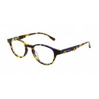 Ted Baker Eyeglasses TB8088 Pinnacle 173