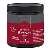 Terranova Intense Berries Super Shake - 224g