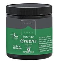 Terranova Intense Greens Super Shake - 224g