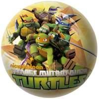 Teenage Mutant Ninja Turtle Playball