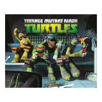 Teenage Mutant Ninja Turtles Sewer - Mini Poster - 40 x 50cm