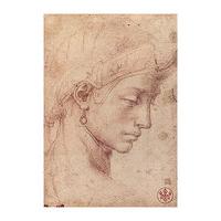 Testa Femminile Di Profilo By Michelangelo Buonarotti